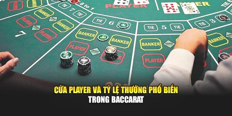 Cửa Player và tỷ lệ thưởng phổ biến trong baccarat